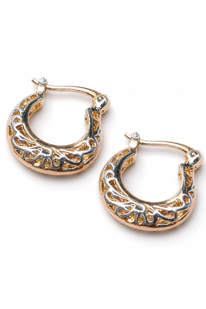 Pair of gold and silver hoop earrings on a white background